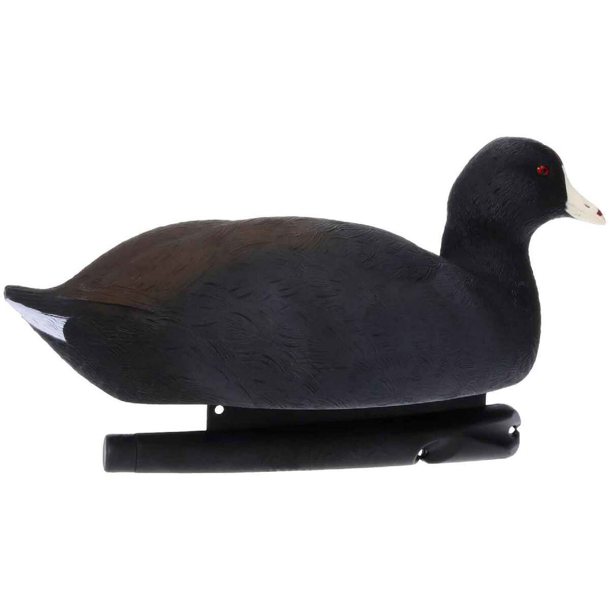 Avian X Top Flight Coot Duck Decoys - 6 Pack