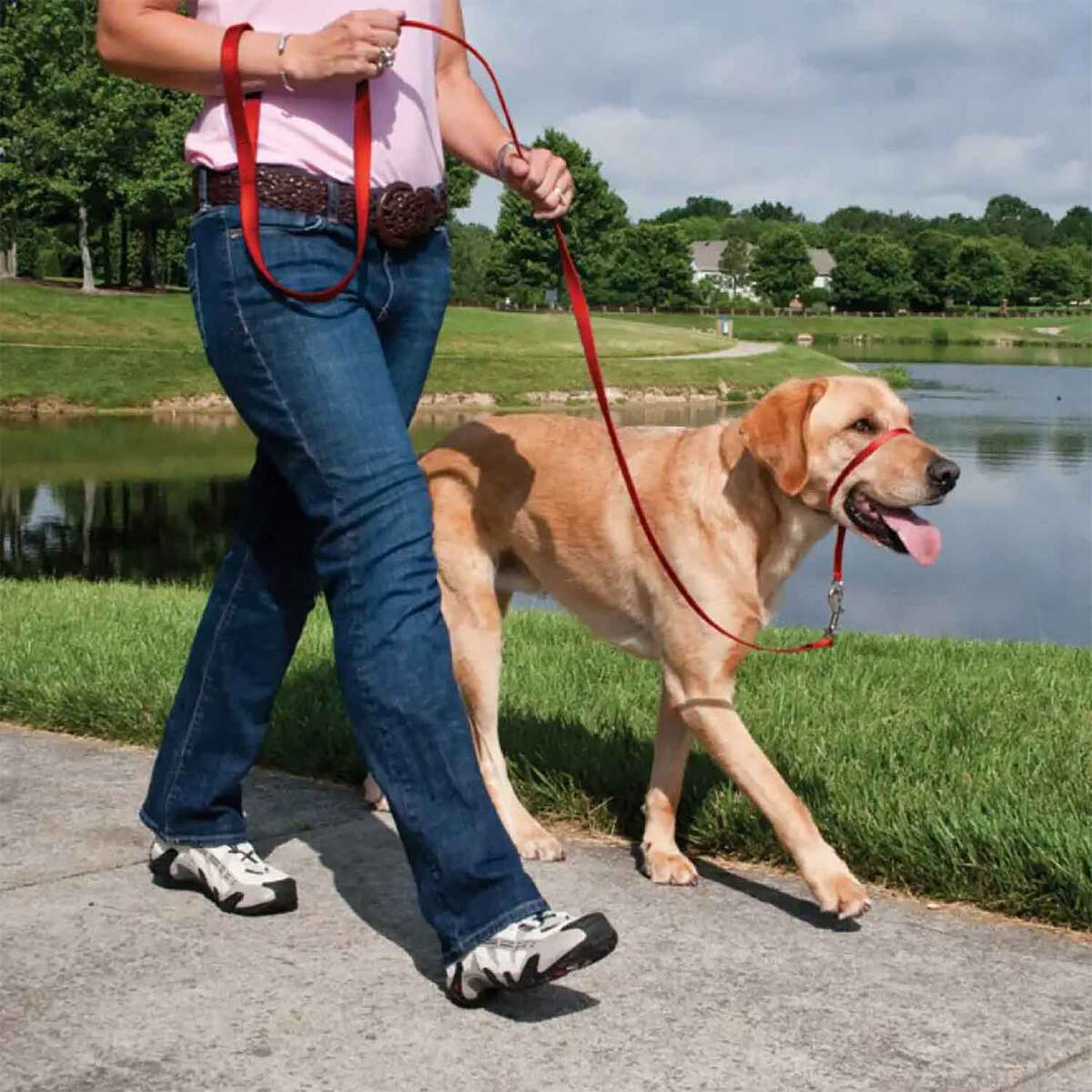 PetSafe Gentle Leader Red Headcollar