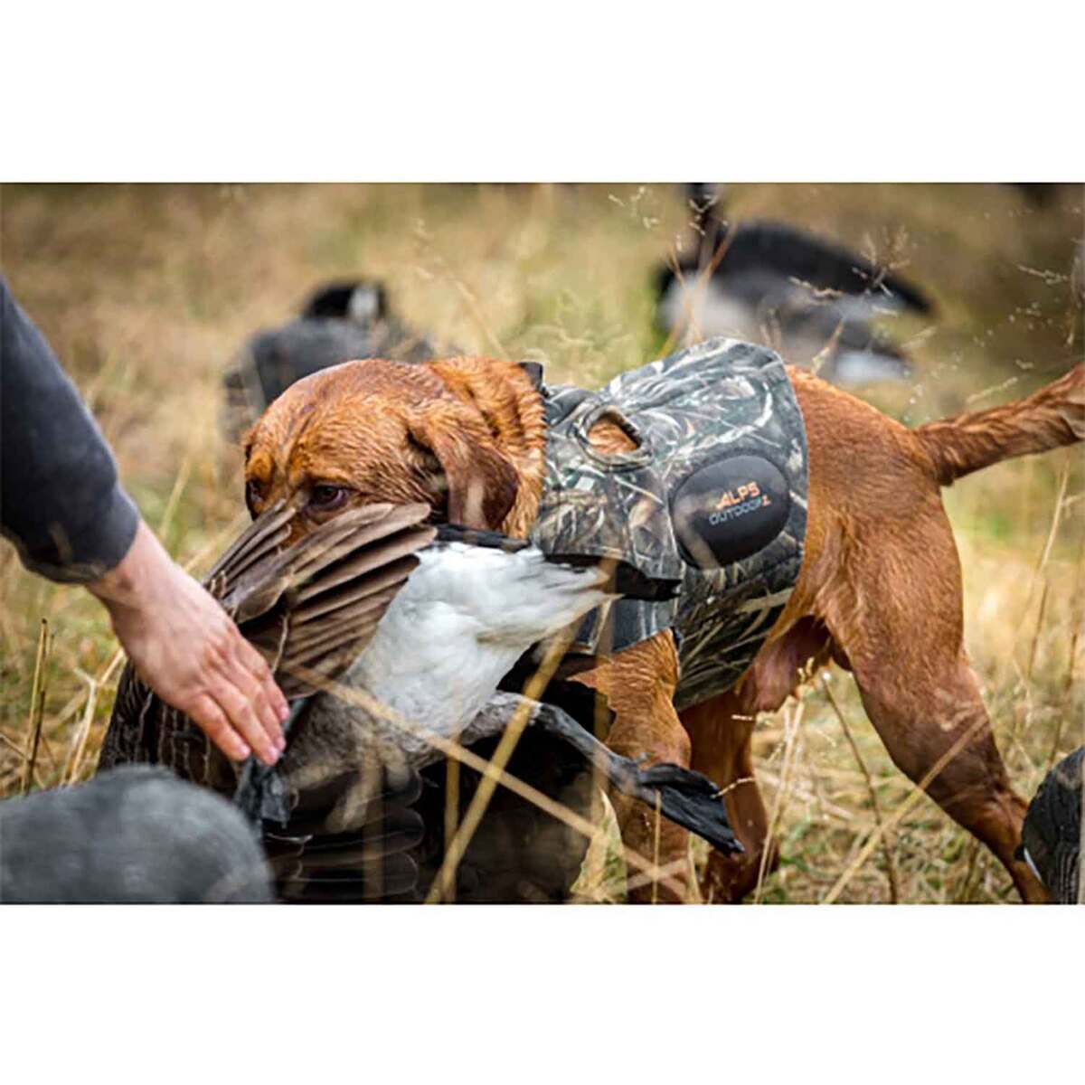 ALPS Outdoorz Topflight Dog Vest - Large