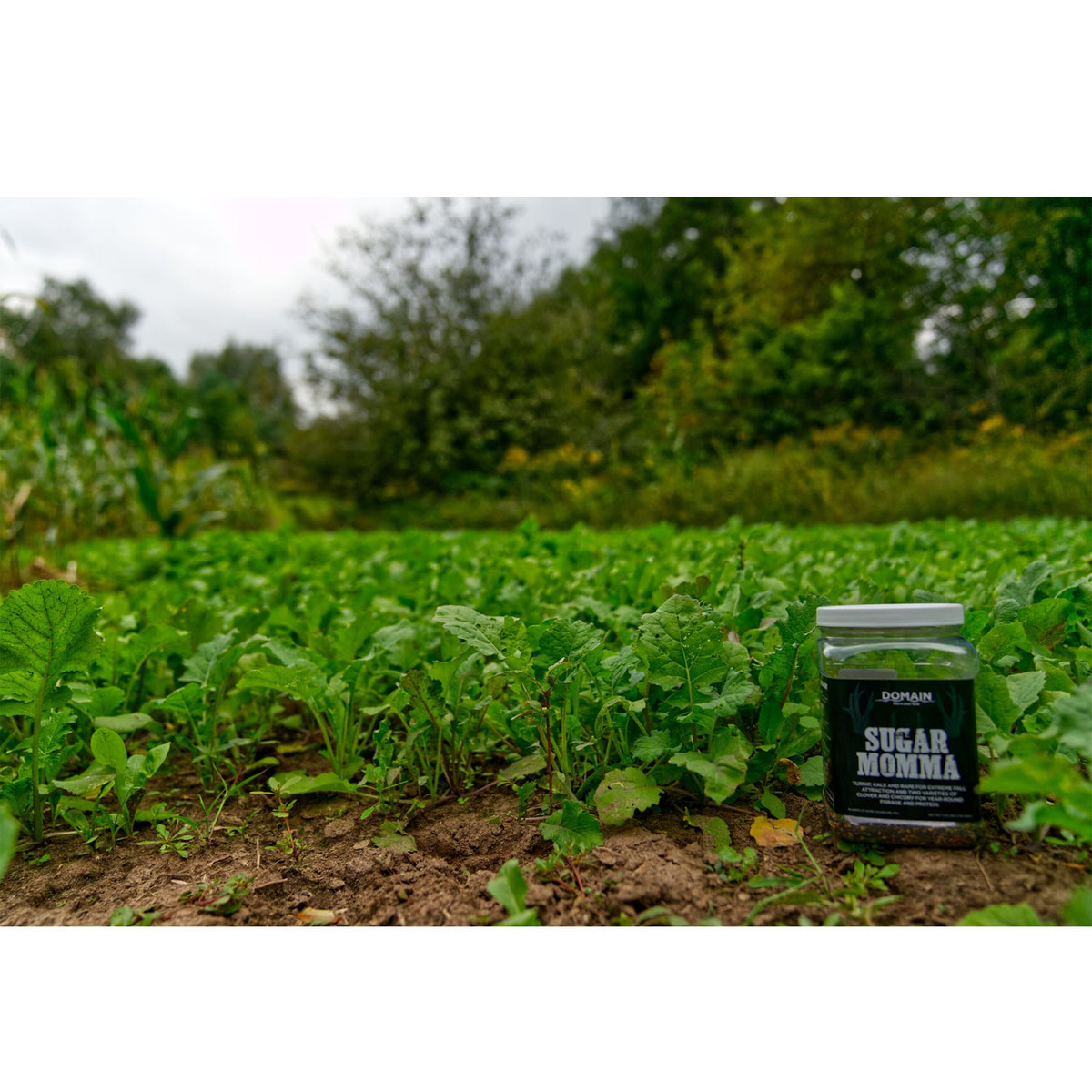 Domain Outdoor Sugar Momma Deer Food Plot Mix