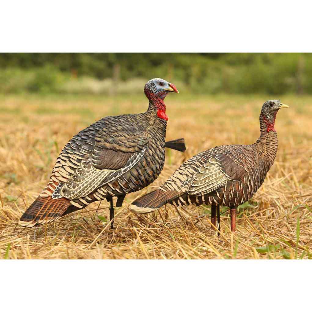 Avian X Lookout Jake and Hen Combo Turkey Decoy