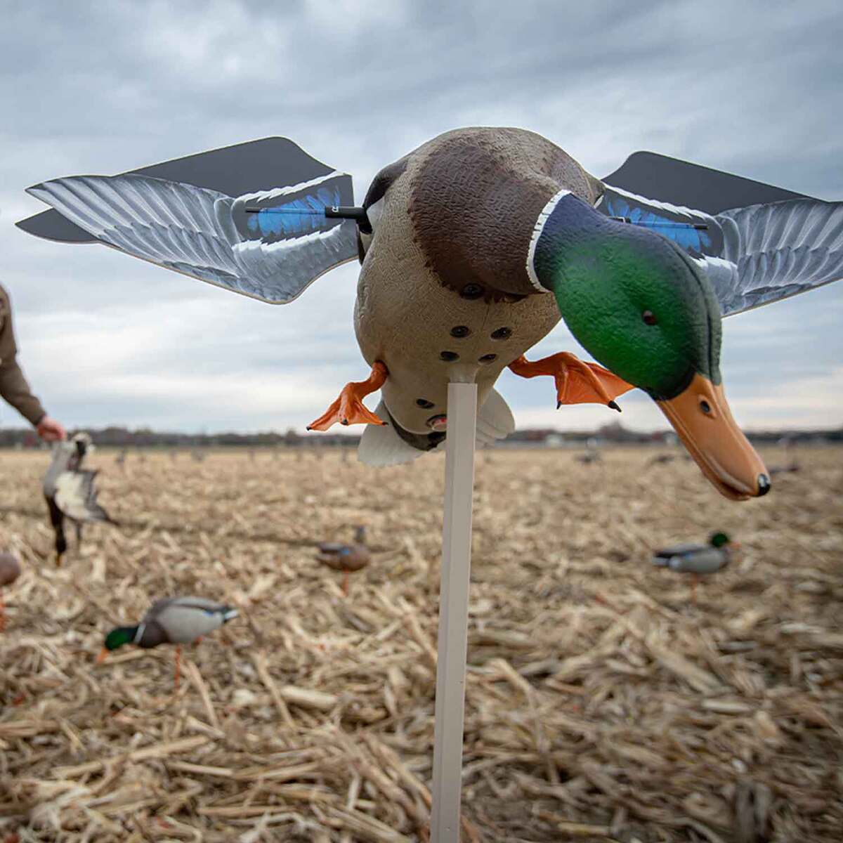 Avian X Powerflight Smart Motion Mallard Spinning Wing Duck Decoy