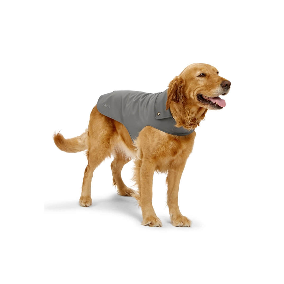 Orvis Softshell Dog Jacket - Large - Slate