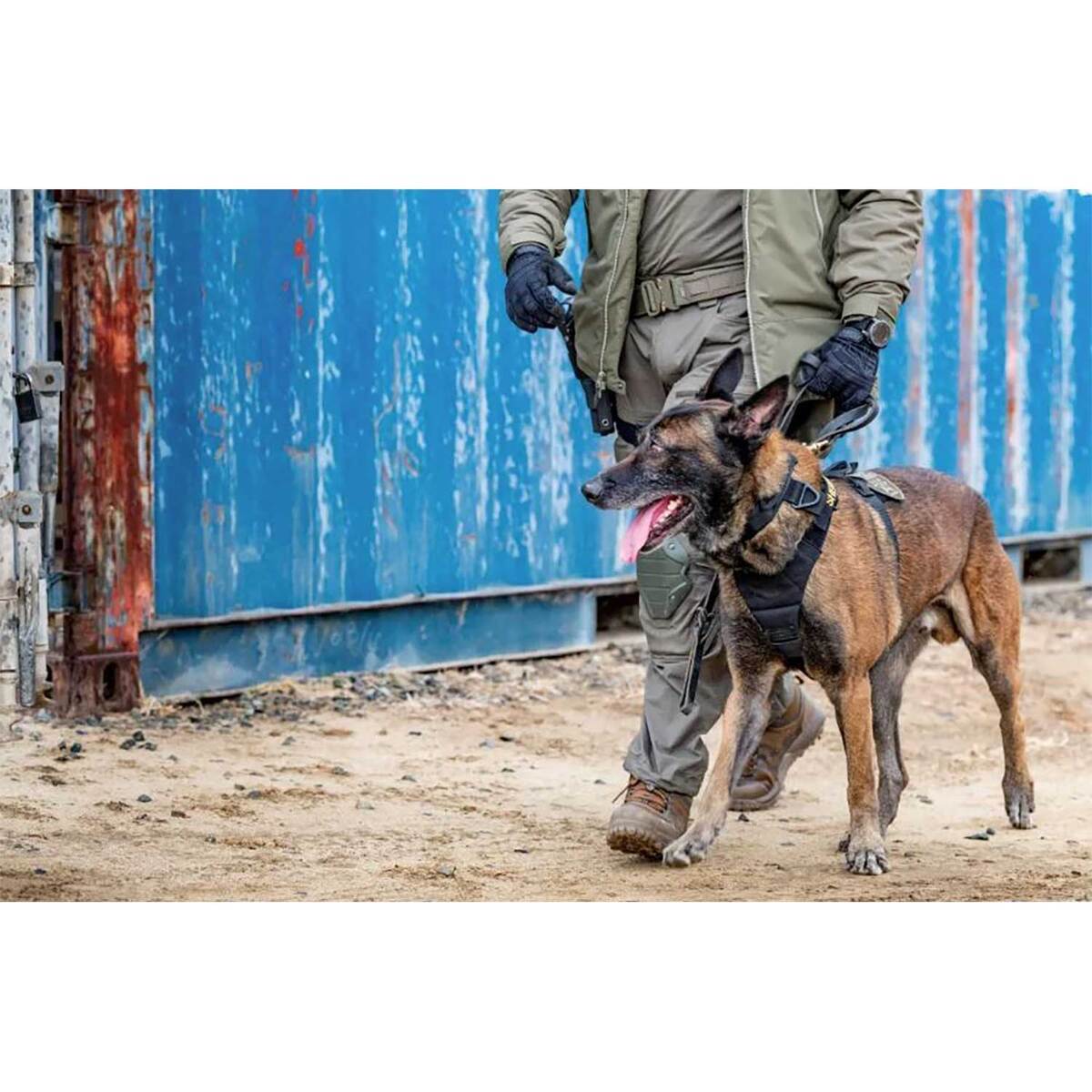 AROS K9 HARNESS - RGR GRN-XL
