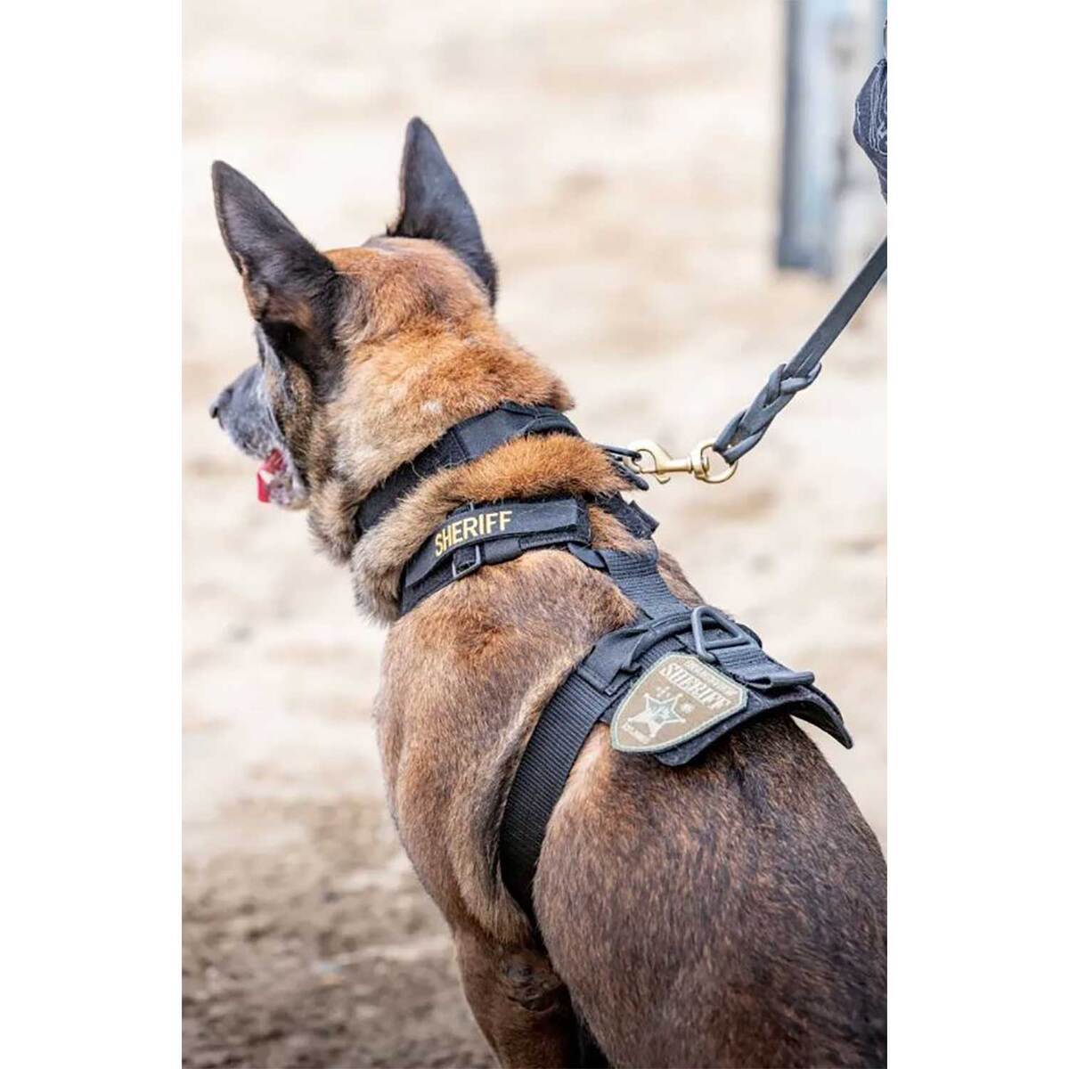AROS K9 HARNESS - RGR GRN-XL
