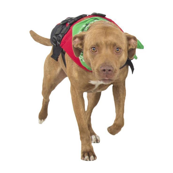 NRS Canine Flotation Device 5 NRS Canine Flotation Device