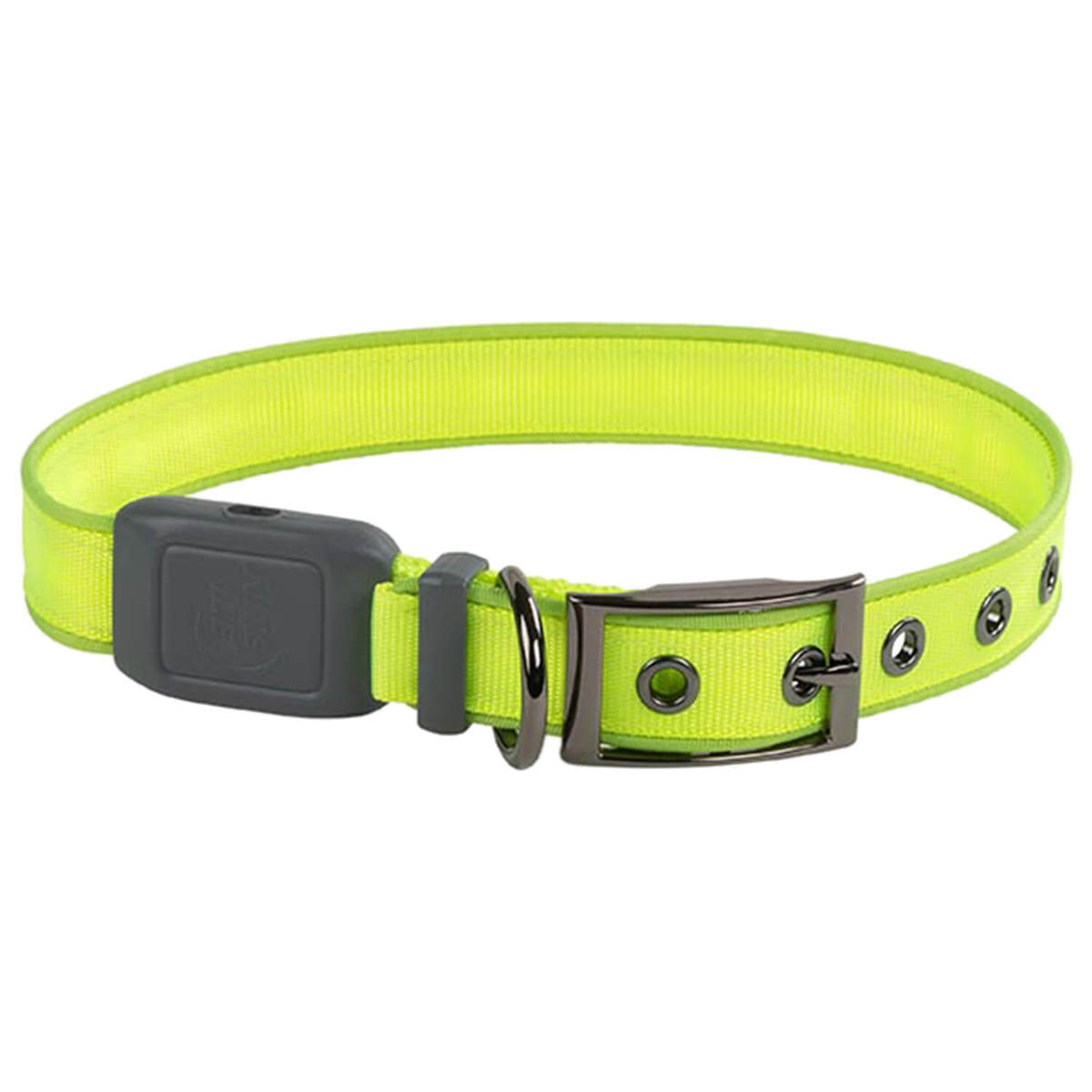NiteDog Rechargeable XL Dog Collar