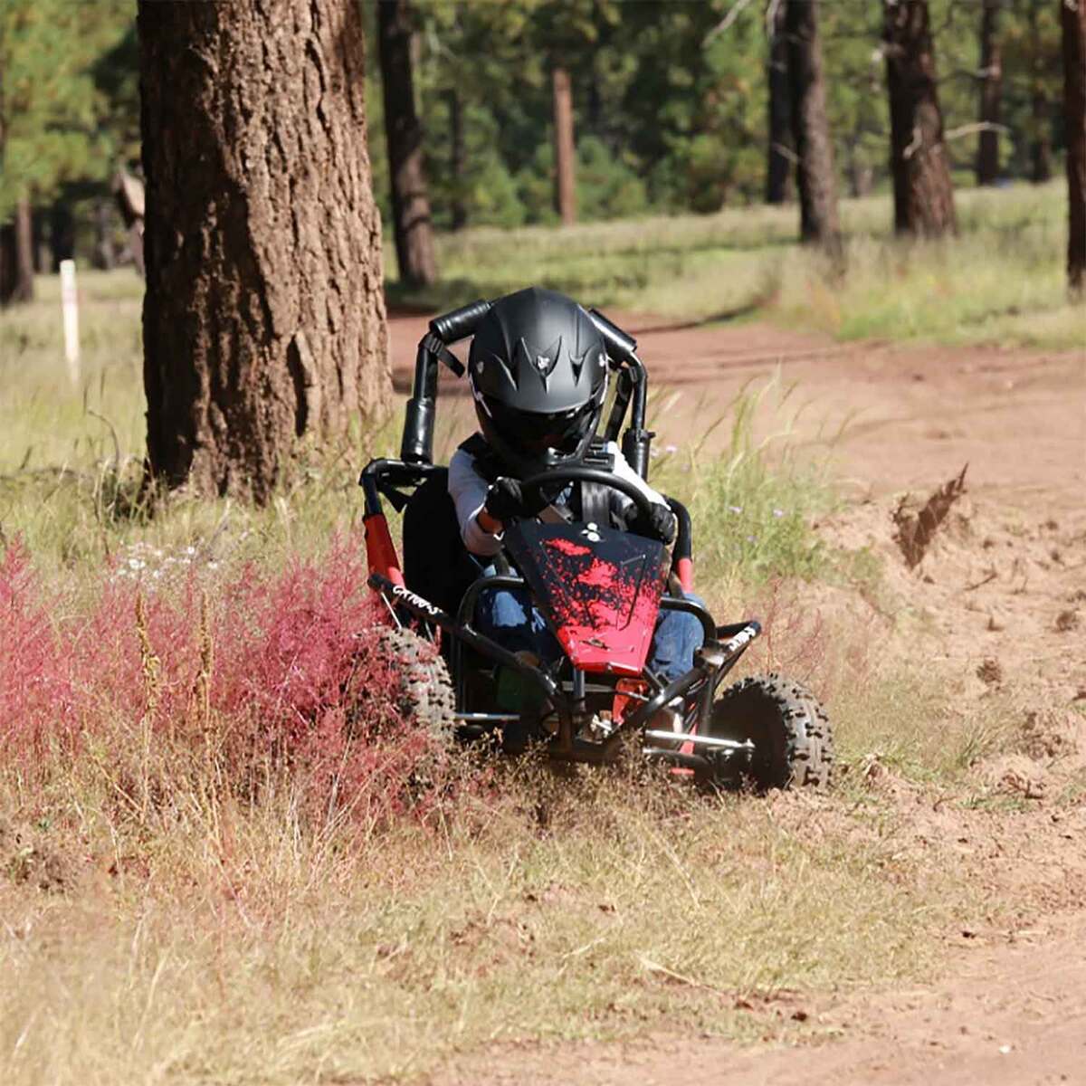 Coleman Powersports CK100-S 98CC Red Go Cart - Not CA CARB Compliant