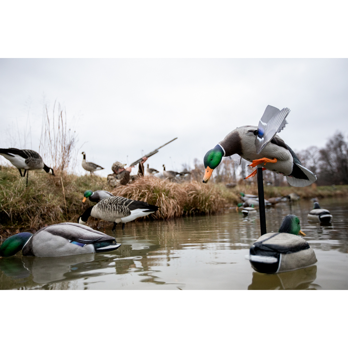 Avian X Powerflight Mallard Spinning Wing Duck Decoy 4 Avian X Powerflight Mallard Spinning Wing Duck Decoy