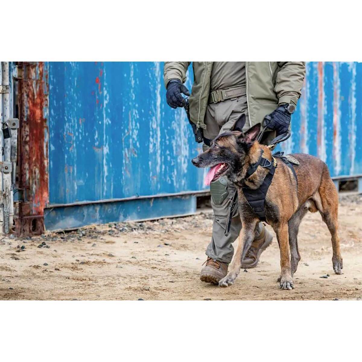 5.11 Tactical Aros K9 Nylon Dog Harness - X-Large