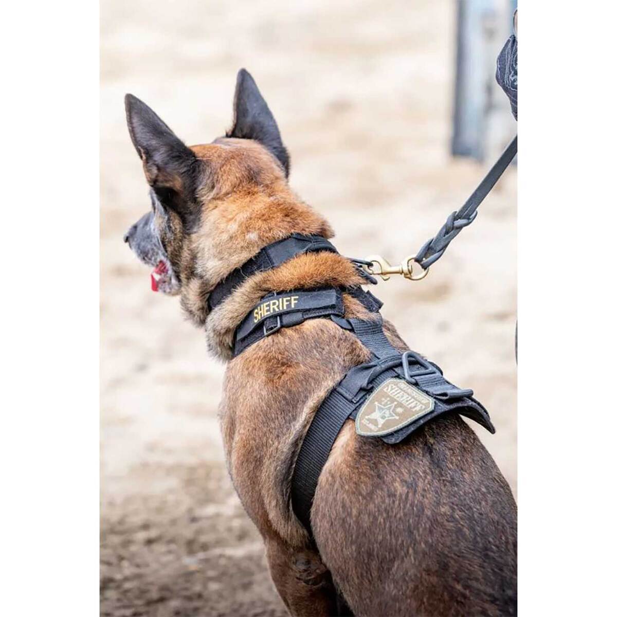 5.11 Tactical Aros K9 Nylon Dog Harness - X-Large