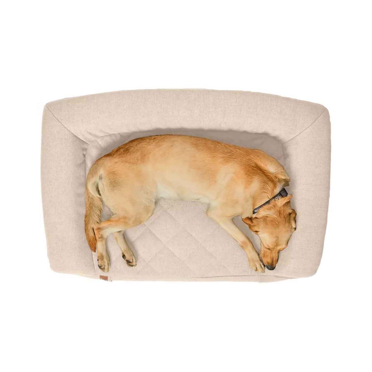 Orvis RecoveryZone Couch Dog Bed